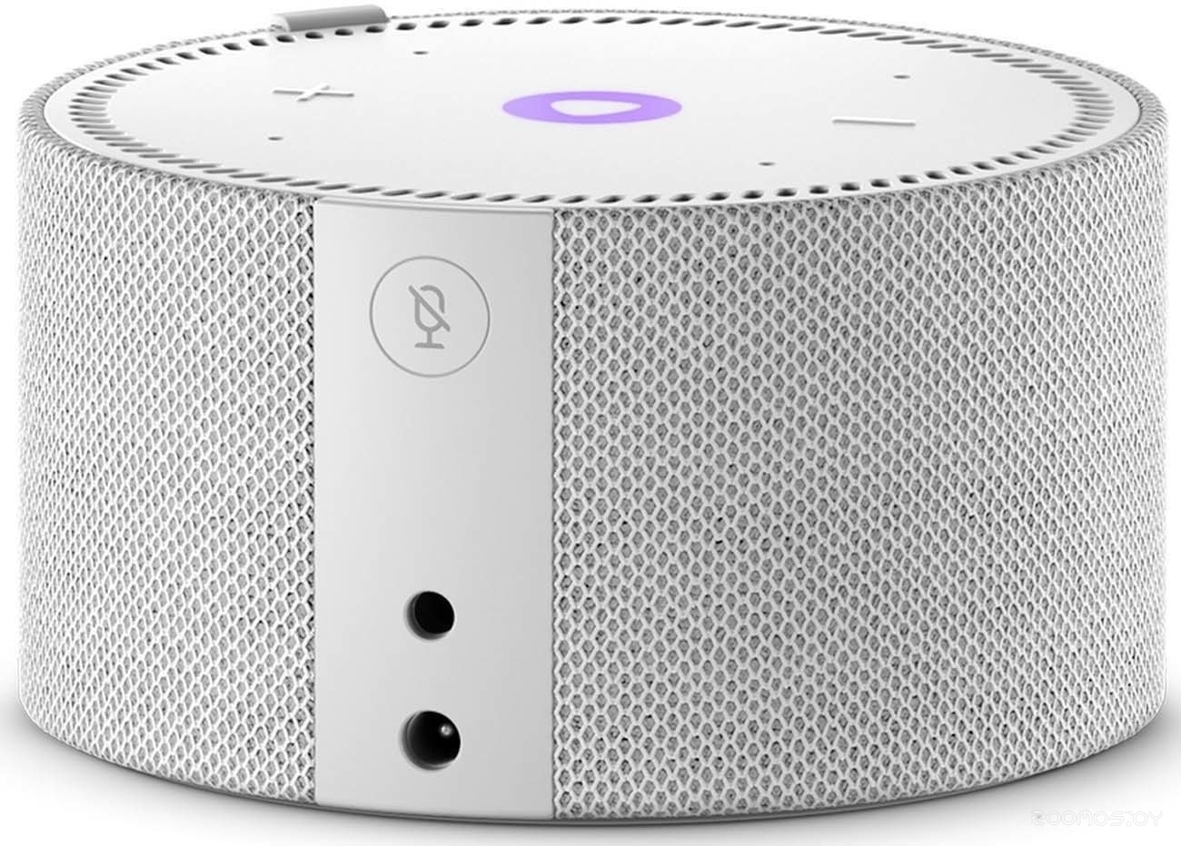 ������� ���������� Shtenli GA5030 �  �������� ������� �������