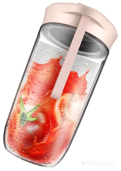 ������������� Shtenli Pro 210 �  �������� ������� �������