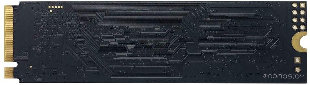 SSD Patriot P300 512GB P300P512GM28 �  �������� ������� �������