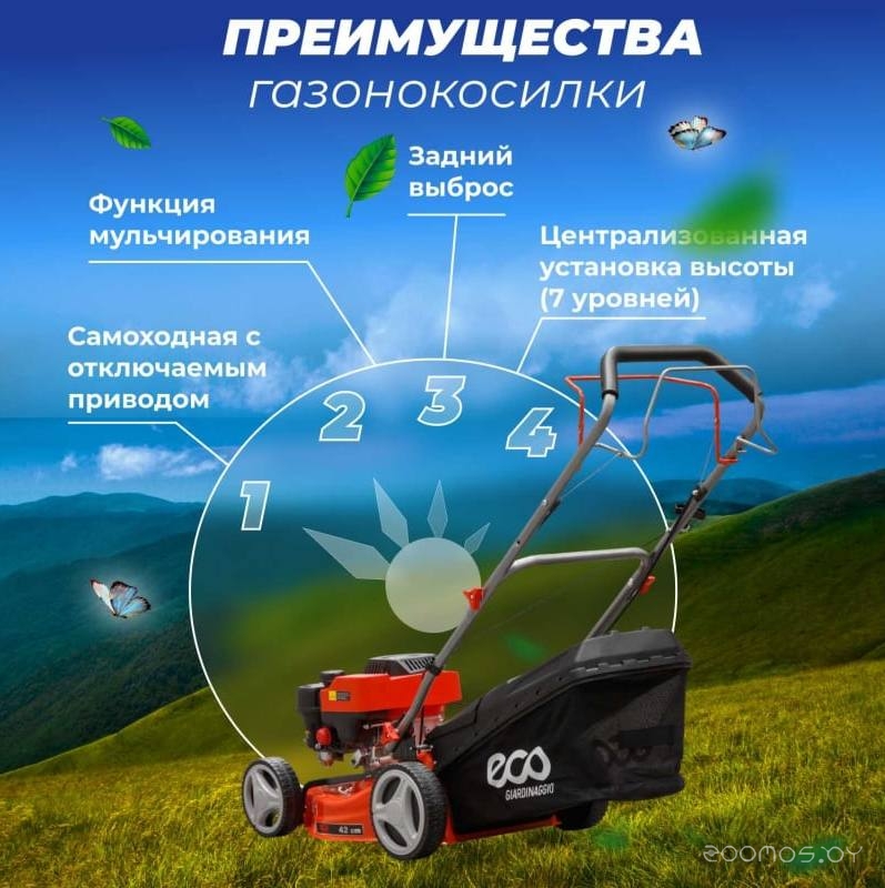 ���������� ������������� Eco LG-434 �  �������� ������� �������