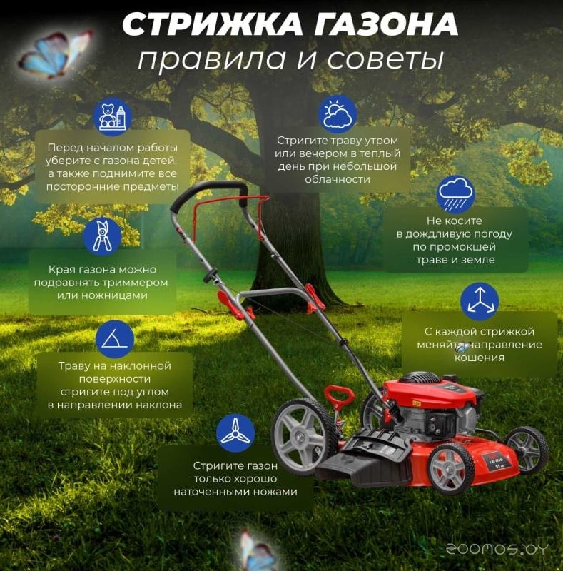 ������������� Eco LG-810 �  �������� ������� �������