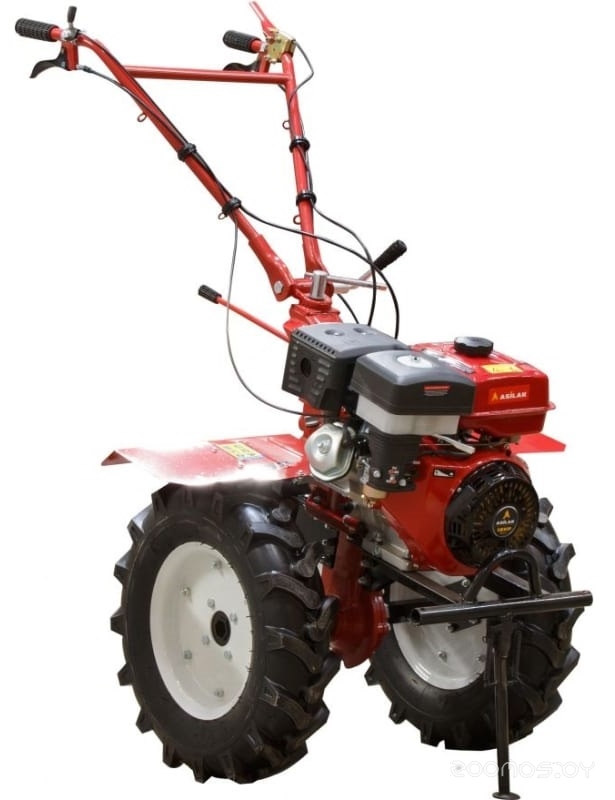 �������� Asilak SL-186L-6512 �  �������� ������� �������