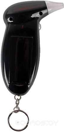 ���������� RAT-310 �  �������� ������� �������