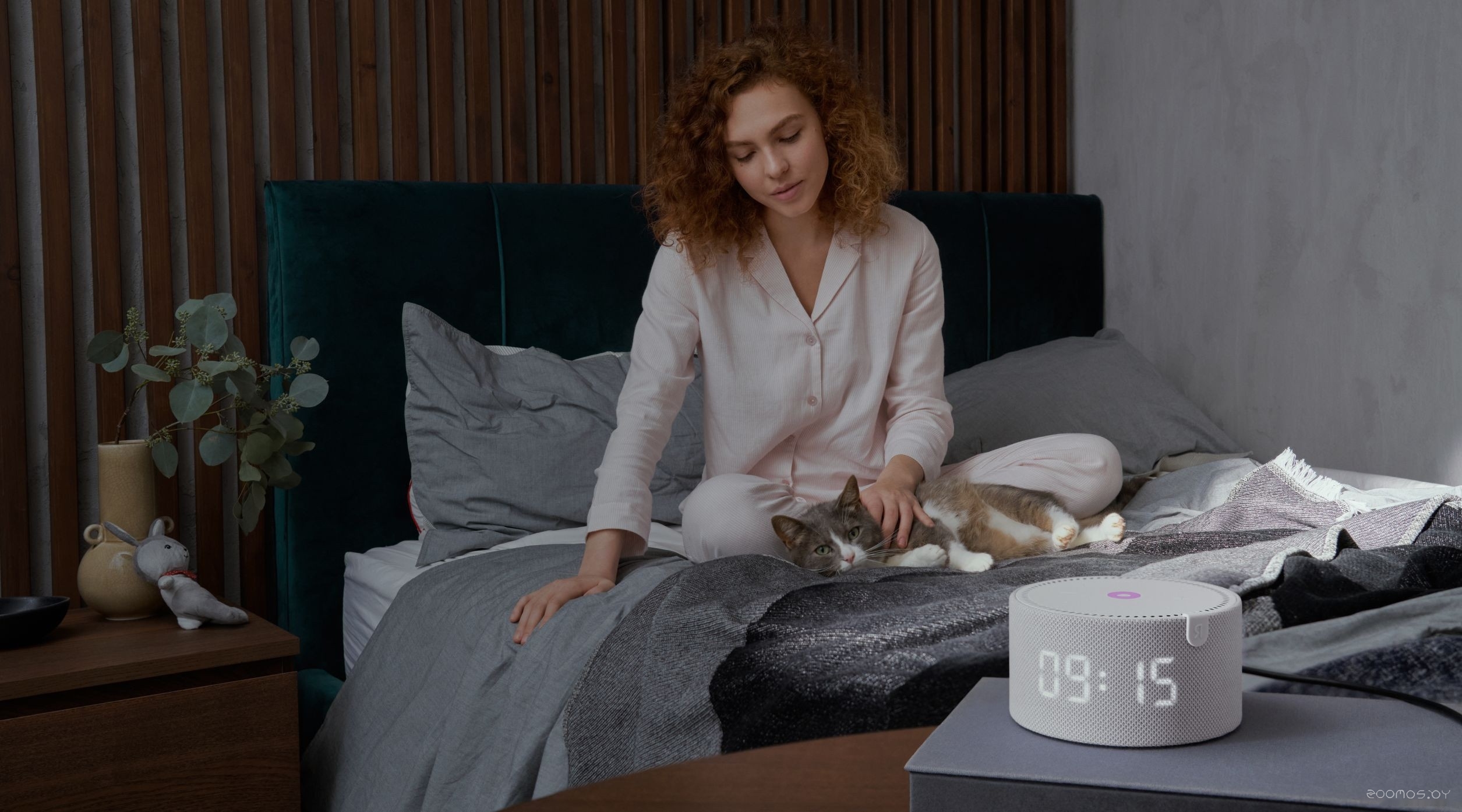 ������� ���������� Shtenli GA5030 �  �������� ������� �������