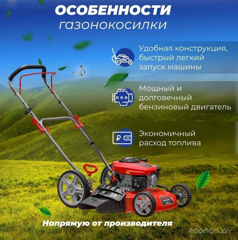 ������������� Eco LG-810 �  �������� ������� �������