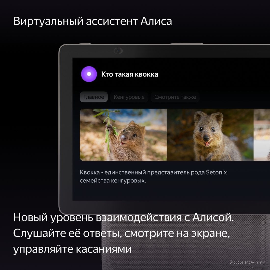 ������� ���������� Shtenli GA5030 �  �������� ������� �������