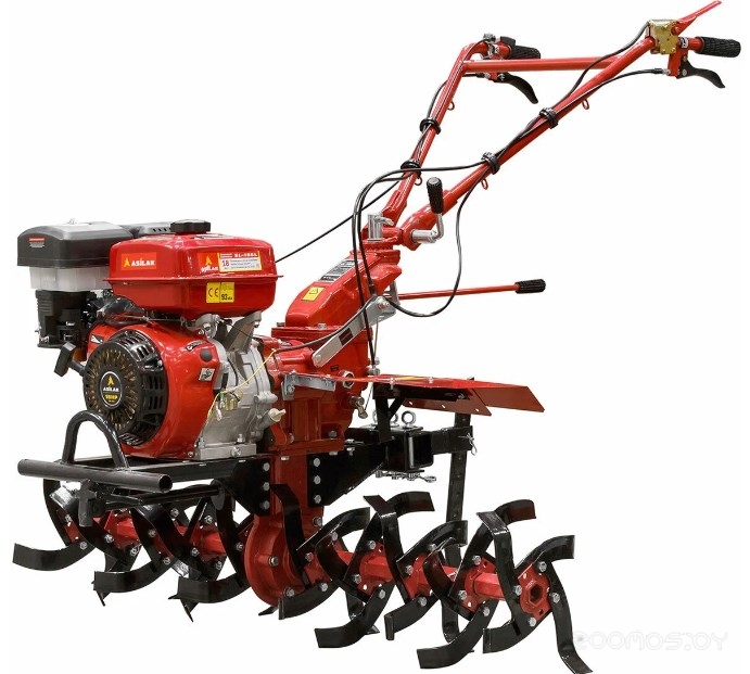 �������� Asilak SL-186L �  �������� ������� �������