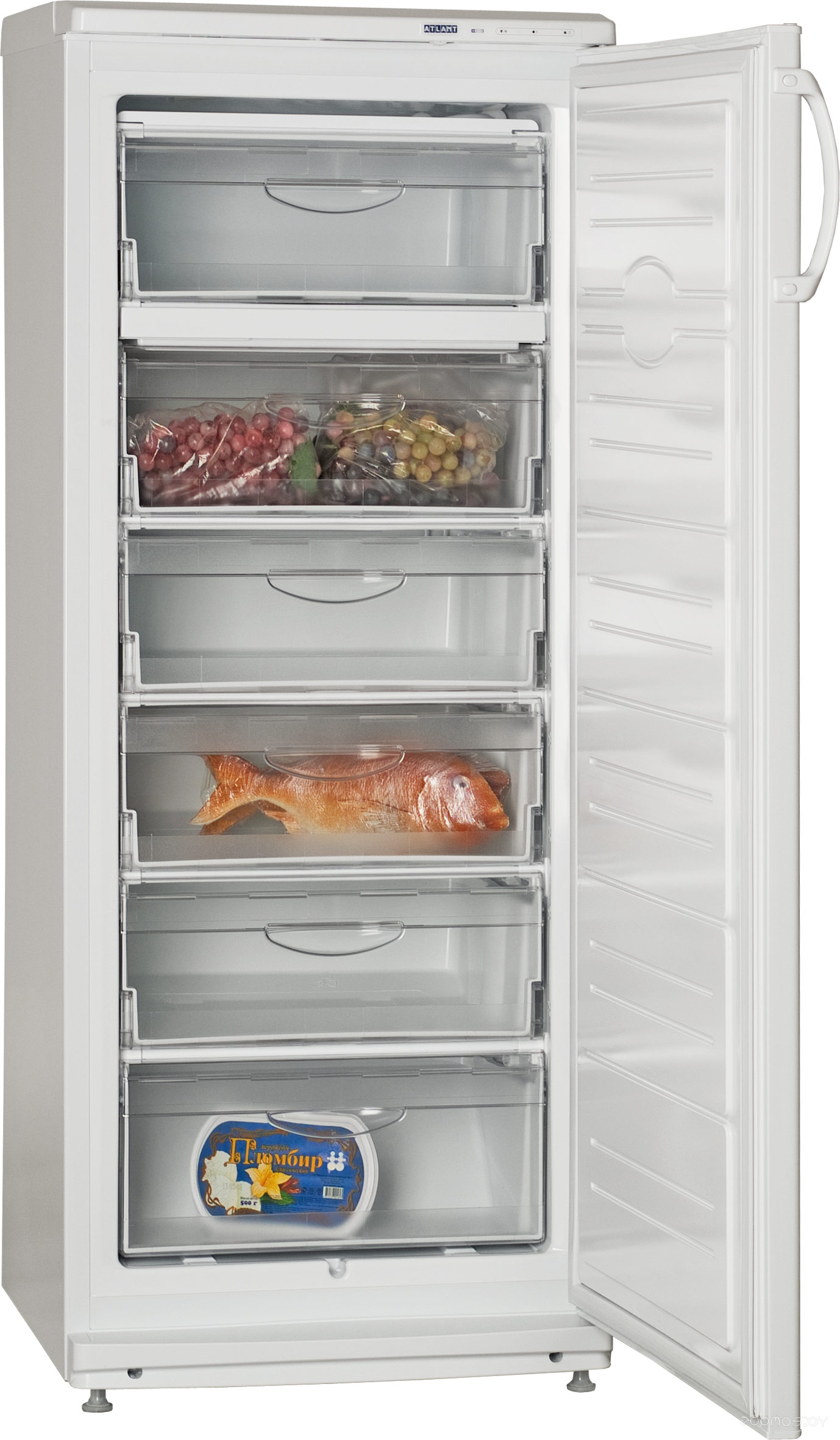 ����������� ATLANT � 7184-003 �  �������� ������� �������