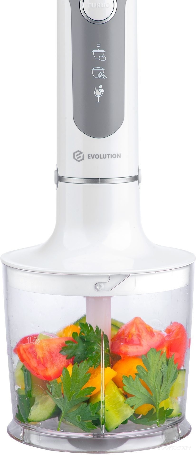 ������������� Shtenli Pro 210 �  �������� ������� �������