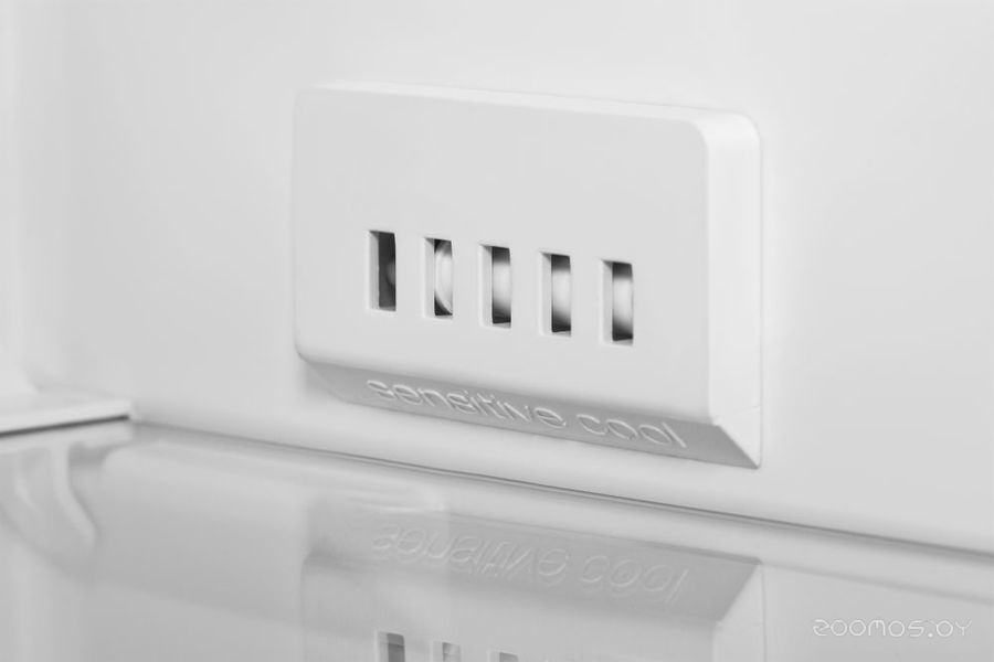 ����������� BEKO RCSK 250M00 W �  �������� ������� �������