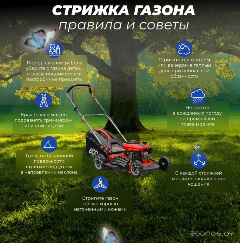 ������������� Eco LG-534 �  �������� ������� �������