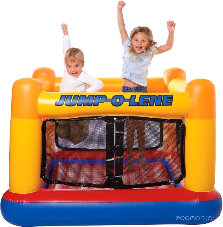 ����� INTEX 48260 �  �������� ������� �������