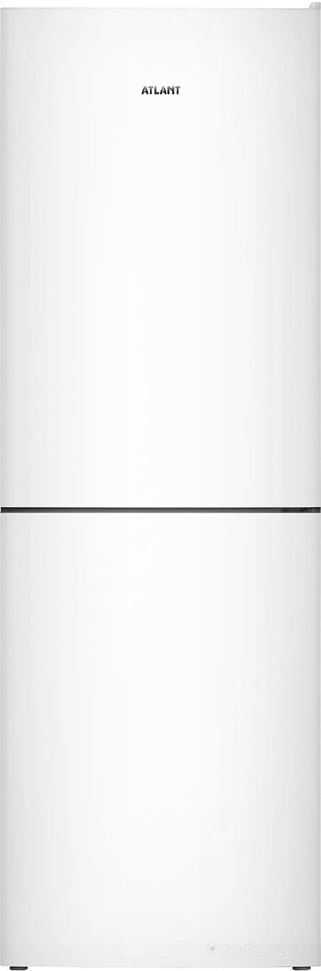 ����������� ������ �� 4619-101 �  �������� ������� �������